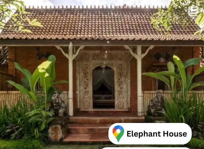 Family Villa, Shared Pool, Garden, Rice Field & Jungle Views
